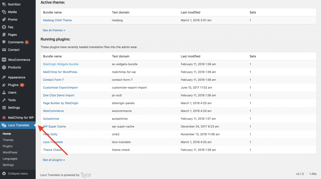 Loco Translate admin panel, dashboard. List of themes and plugins.